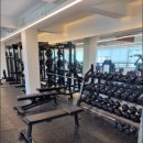 블랙맘바짐 이미지