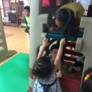 선택의자유3