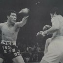 박종팔복싱체육관 이미지