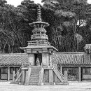 김영택 티스토리