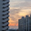 노아내과의원 | 2022.07.03_옹양의 6월 4주차