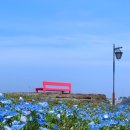 하나노쿠니 - 관악구 관천로19길 76 | 하나노쿠니