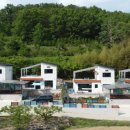 세인트354 이미지