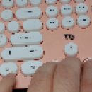 TG삼보 TG-K8600U 아이솔레이션 유선 키보드 (핑크) 개봉기 이미지