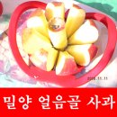 ★[산지직송] 밀양 얼음골 꿀 사과10kg ★ 이미지