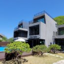 비다펠리스 이미지