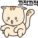 스마트폰 1인 미디어 제작 네이버블로그