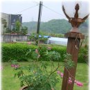 서예A반 Daum카페