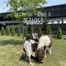 리안목장 이미지