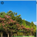 종합경기장 이미지