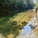 도원패밀리캠핑장 이미지