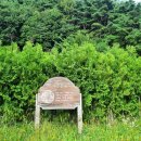 뜬봉샘 생태길 이미지