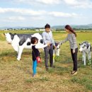 낙산씨사이드 이미지