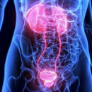 신호내과의원 이미지