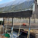 산새소리캠핑장 이미지