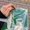 르 아콩