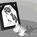 연합장묘개발 - 3757 | 연합장묘개발