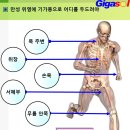 기가솔건강방 이미지
