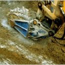 유일건기
