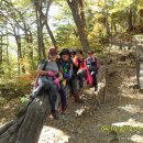 오대산별장 이미지