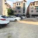 강서하이동물병원 이미지