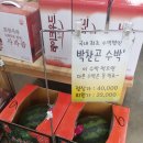 맘마멤버스 - 13537 | 맘마멤버스