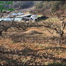 북면초등학교승산분교장 이미지