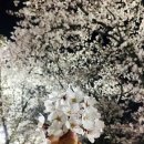 (주)마트링크 이미지