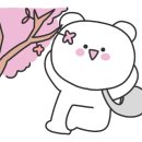 야미짬뽕 이미지