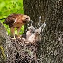 (주)미소 이미지