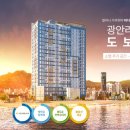 올리브 비치 네이버블로그