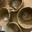 거제초교병설 이미지