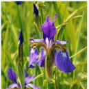 히든밸리펜션 이미지