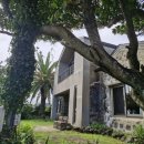 위미그라스 이미지