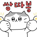 먼지사냥꾼 이미지