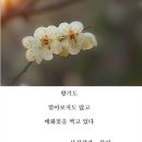 사진작가/류안 이미지