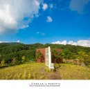 천년의 정원 이미지