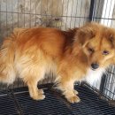 시장1길 이미지