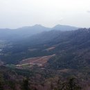 주작산 휴양림 티스토리