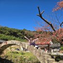 평안세탁 | [투병일기#43] 젊은 유방암_젤로다 6차 끝!! 여기저기 돌아다닌 기록, 박미선님 유퀴즈 시청 후기