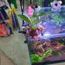 온사랑펫 이미지