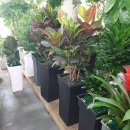 동광양꽃판매장 이미지