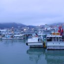 완도항구 이미지