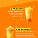 수원-매산-227 | [메가커피 가을 신메뉴] 메가커피 수원역점 신메뉴 귤 톡톡 릴렉싱 티플레저 구매 후기!