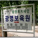 2008경기도내 보육원생 시공모전 및 걷기대회 행사 이미지