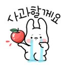 연두사과 네이버블로그