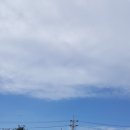 드림공인행정사 이미지