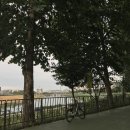 송정제방길 이미지