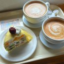 삼기파출소 | 천안신부동카페 바우토커피 재방문해도 좋은 크레이프케이크 맛집