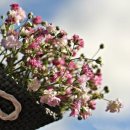 삼진행정사사무소 이미지